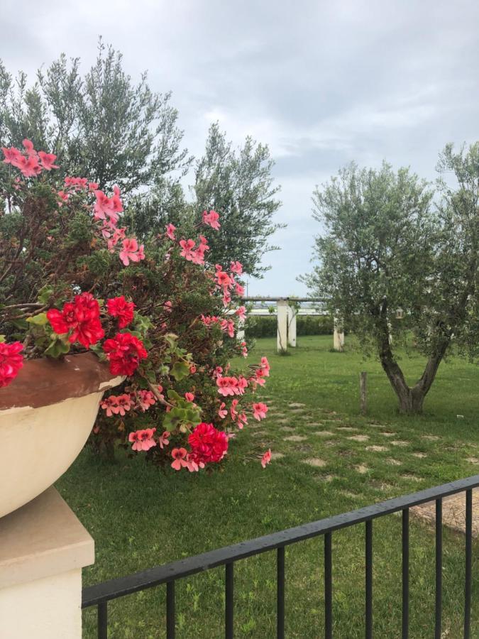 Tenuta Orsanese Marina di Ginosa Ngoại thất bức ảnh